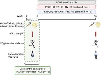 Absent Exercise-Induced Improvements in Fat Oxidation in Women With Polycystic Ovary Syndrome After High-Intensity Interval Training